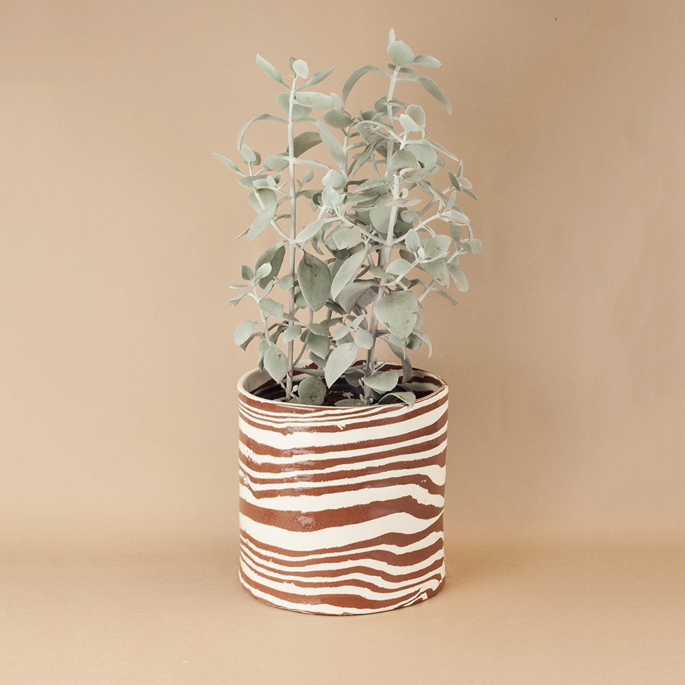 Giant Terracotta & White Planter