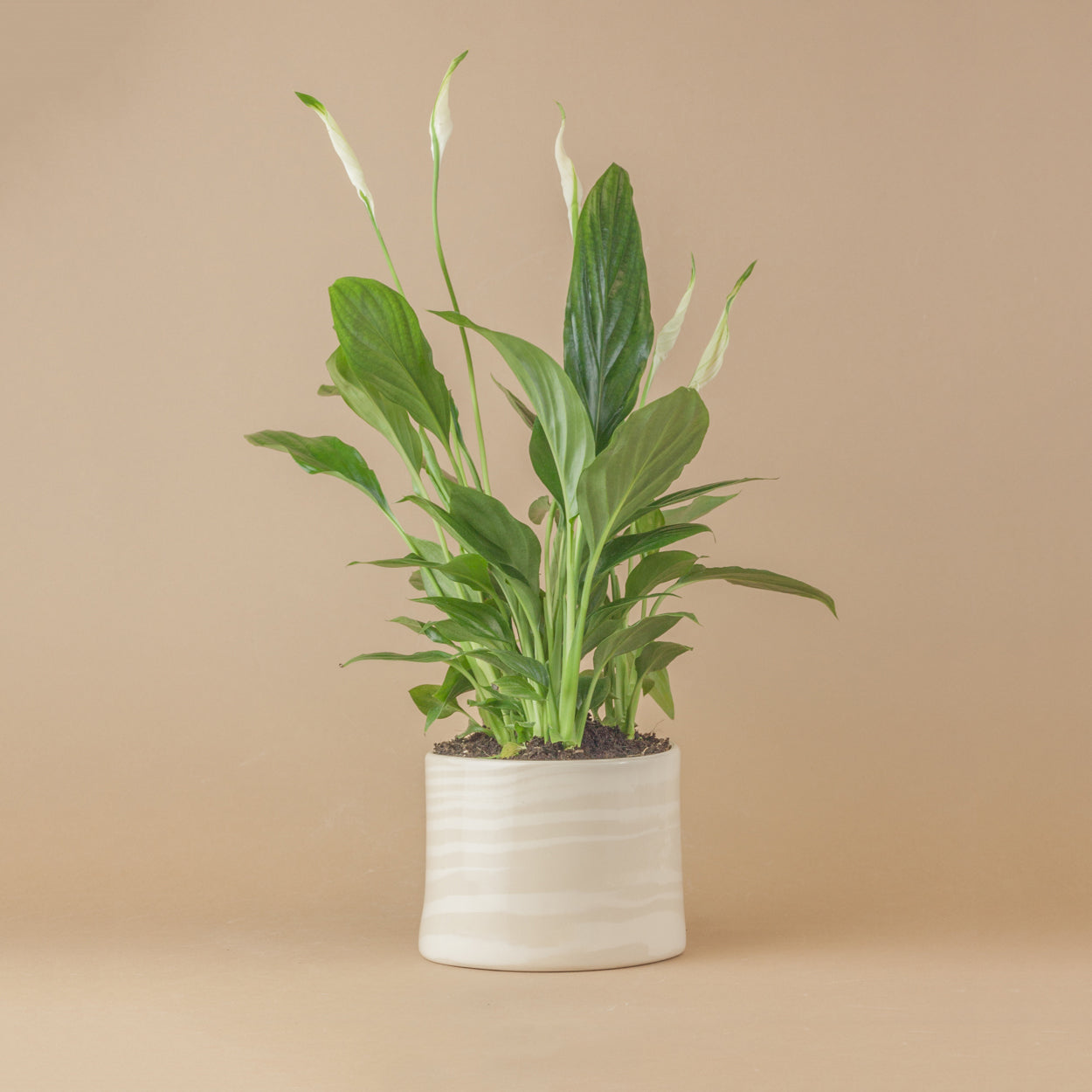 Oatmeal & White Planter